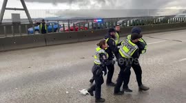 ‘Save Old Growth’ protester arrested after blocking Vancouver’s Ironworkers Bridge