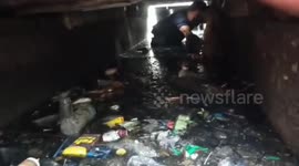 Dramatic Central Jakarta Firefighters Evacuate Dogs in Waterways