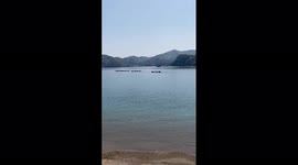 Japan: Rare 3-Meter-Long Giant Squid Stranded At Ugu Beach, Fukui