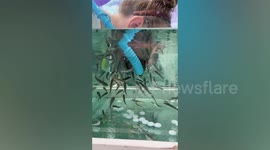 Dozens of tiny fish exfoliate woman's FACE in Russian spa