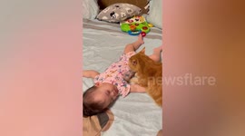 Pet cat massages sleeping toddler in Taiwan