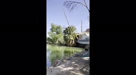 'Girl flies straight into tree after refusing to let go of rope swing *Funny* 
'