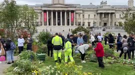 Innocent Drinks rewild London's Trafalgar Square for a day as part of forest campaign