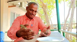 Friends in high places: Kind-hearted local official in South India rescues a family of baby squirrels