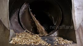 Satisfying footage shows Palestinians roasting nuts ahead of Eid al-Fitr