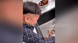 Boy in tears after mother cooks crayfish he wanted to keep as pets