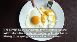 Egg |The Ultimate Superfood :- Health Benefits Of Regular Egg Consumption |Benefits Of Eating Eggs