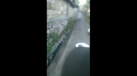 Dog running after the owner who just came back home