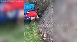 Heart-warming moment walkers rescue lamb trapped between rocks and reunite it with its mum