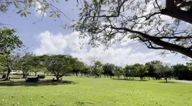 Parque soleado tarde Puerto Rico