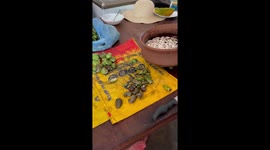 Cleaning cashew nuts in Sri Lanka - a lot of processing and manual labour is involved in cleaning the nut by hand