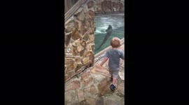 Otterly irresponsible!!!