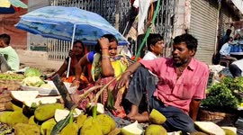 The Heat wave temperature effected vegitables cells man and woman in Northern India