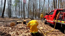 Brush fire - Mountain Road, Overlook, Ralpho township, Pa