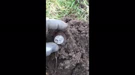 Metal detecting find. One silver Shilling found in County Durham