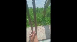 The excavator driver tries to clean up water hyacinth to move the boat on the river covered with water hyacinth