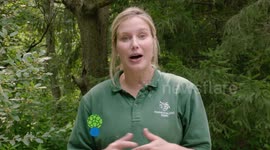 These Are The Five Things You Should Know About Moose