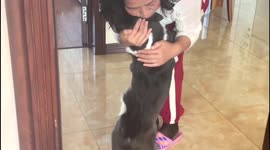 Dog 'cries' as owner returns home after month's absence in China