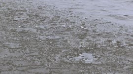 SOUND ON! Ice tinkles as it washes up on shore of Lake Superior
