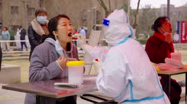 Footage Of Nucleic Acid Test In Shandong, China