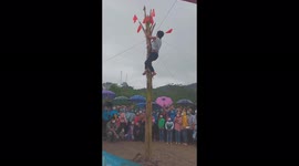 The challenge of climbing the FOUR meter high banana tree to get the flags during the festival held in Vietnam
