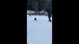 Dog bravely joins snowboard ride at full speed