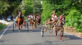 Traditional horse  cart races are conducted in South India