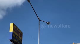 Injured loris stuck on top of motorway lamppost rescued