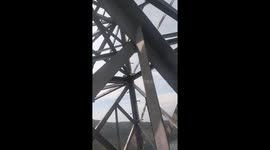 Thousands of bees surrounded and attacked the electrician as he climbed to the top of a high voltage pole hundreds of meters high
