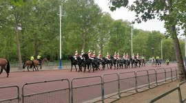 Household Cavalry train ahead of Platinum Jubilee celebrations