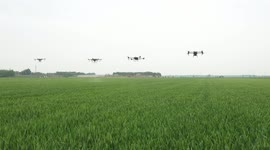UAV Agriculture in Binzhou, China