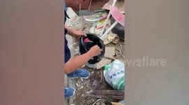 Motorcycle rider finds baby python curled up in his helmet