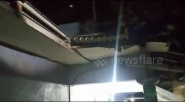 East Jakarta Fire Department Evacuates Three Meters Of Pythons Above Residents' Houses