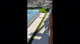 'Michael Phelps who?' Super swimmer snake ZIPS through a swimming pool