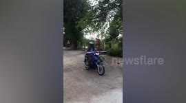 Two disabled dogs excitedly drag themselves towards human friend