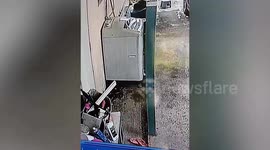 Snake gives woman a fright as it slithers out of her house in Thailand