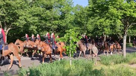 Dozens of mounted police spotted trotting through Paris street during rehearsal