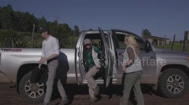 Thick of it: Thick-billed parrot is crucial to save