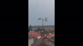 It dawns and two pigeons in love are DEMONSTRATED