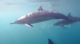 Breathtaking footage shows a freediver exploring the infamous shipwrecks and underwater caves of Hawaii