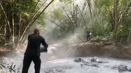 Five elephants found dead in muddy pit in forest in Thailand