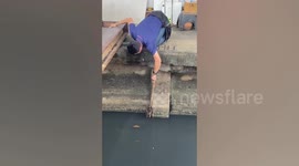 Hero passerby uses broom to save kitten stuck in dirty canal