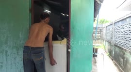 Snake hides inside washing machine after fighting with man's pet dog