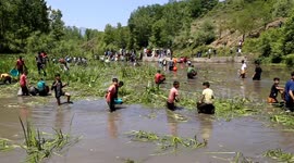 Watch Centuries-old annual festival in Kashmir villages keeps springs clean, helps locals catch fish in Northern India.