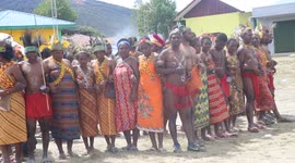 The Tumbuh Tanah Dance or Snake Dance from Arfak Tribe in West Papua