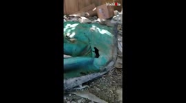 'Touching story of Sissy, a helpless 6 m/o doggo rescued from an abandoned warehouse 
'