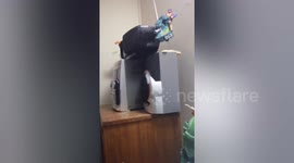 Magnitude 6.8 earthquake rattles homes in Chile