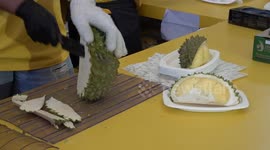 Durian lovers gorge on controversial 'stinky' fruit at all you can eat buffet in Bangkok