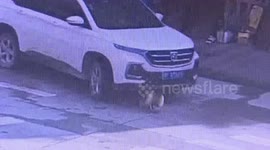 Boy escapes serious injury after being run over by car in China