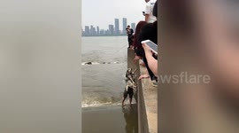 Man drops down into river to rescue stranded dog in China